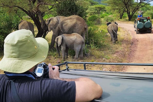 gallary - safari wildlife tour