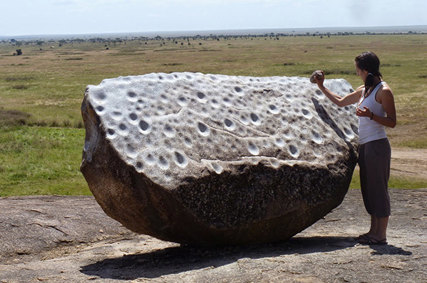 gallary - serengeti safari tour