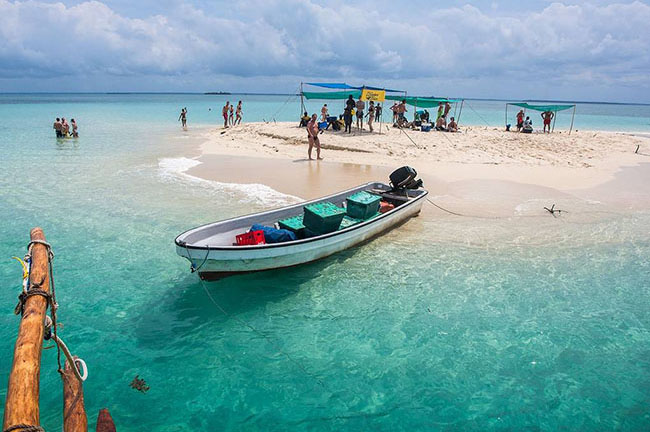 gallary - zanzibar tour sandbank