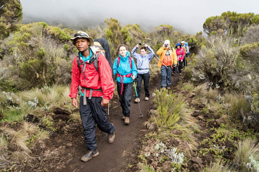 kilimanjaro hiking day trip