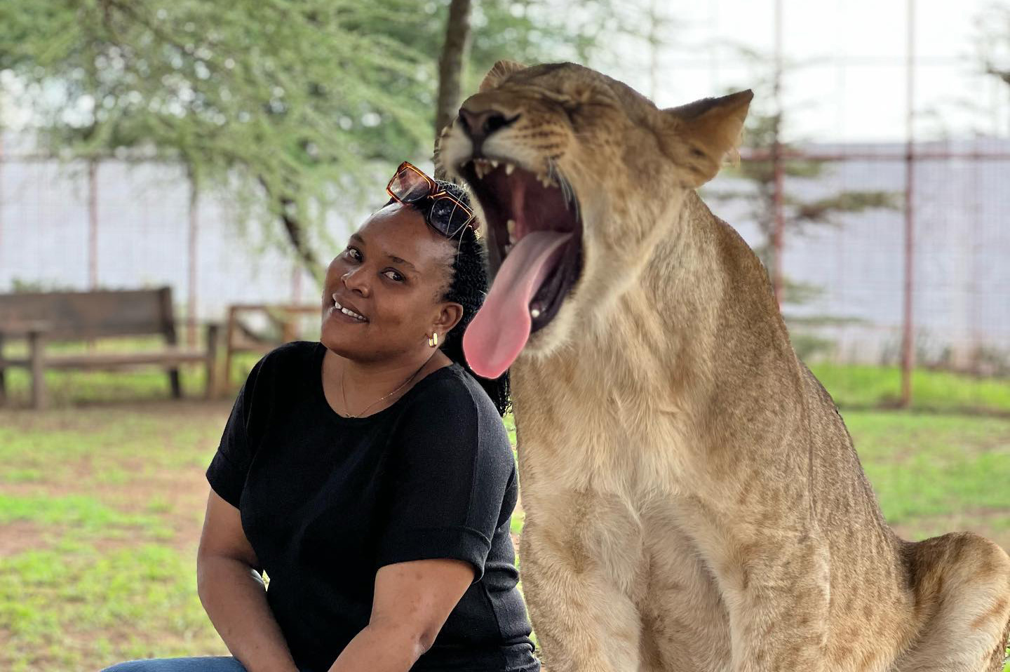 wildlife playing